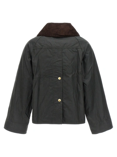Shop Barbour Catton Casual Jackets, Parka Green