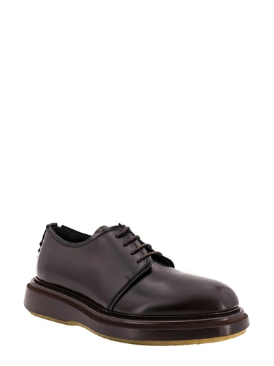 Shop The Antipode Lace-up Shoe In Brown