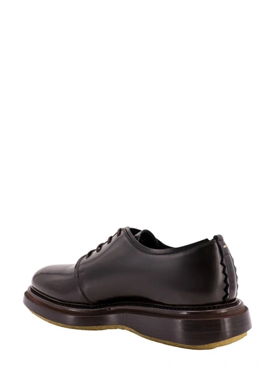 Shop The Antipode Lace-up Shoe In Brown