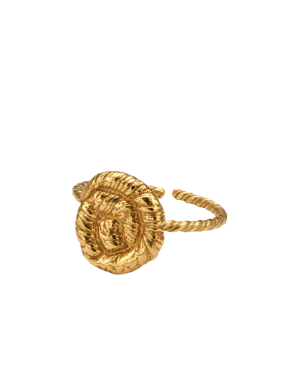 Shop Eva Remenyi Nautilus Ring Gold