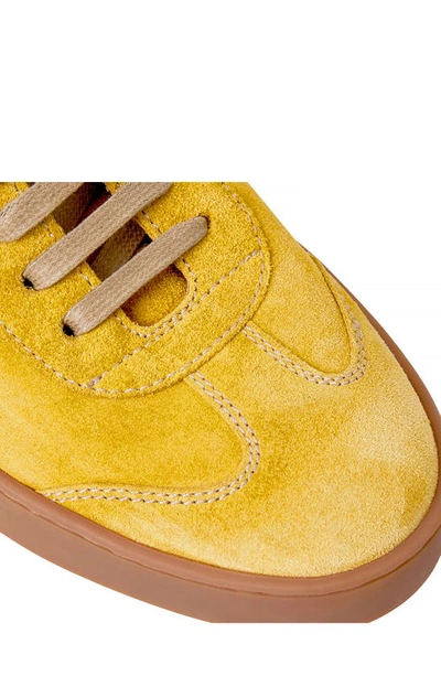 Shop Bruno Magli Bono Sneaker In Mimosa Suede