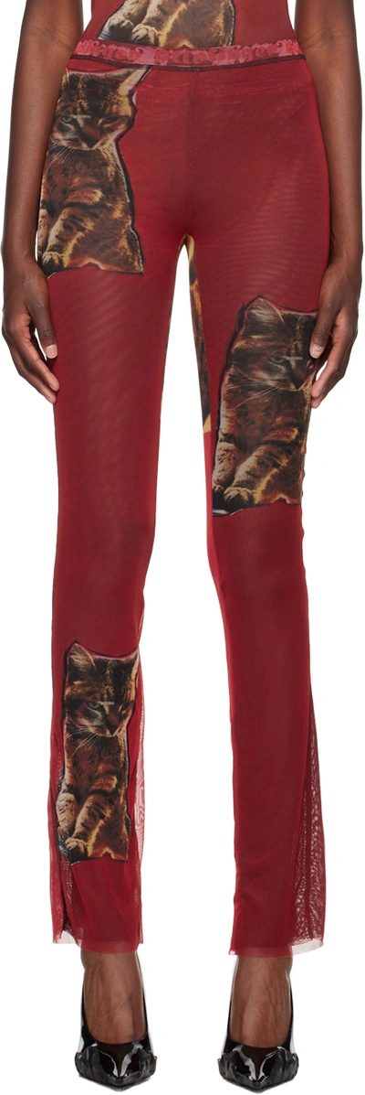 Shop Ottolinger Red Cat Lounge Pants In Tobias Spichtig Red