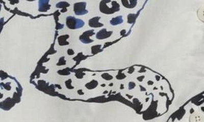 Desmond & Dempsey Print Cotton Short Pajamas In Jag Cream