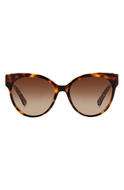 Shop Kate Spade Aubriela 55mm Gradient Round Sunglasses In Havana Pattern/ Brown Polar