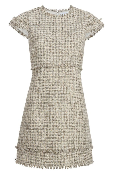 Shop Likely Francis Raw Edge Tweed Sheath Minidress In Grey Multi