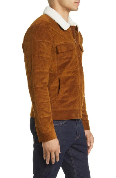 Shop Paige Vosler Corduroy Zip Jacket With Faux Shearling Collar In Cinnamon Cocoa