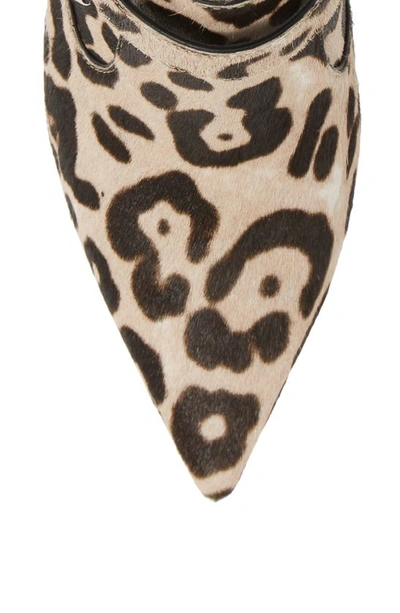 Linea Paolo Nikita Ii Genuine Calf Hair Bootie In White Black Leopard Calf Hair