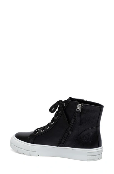Linea Paolo Gio Sneaker In Black