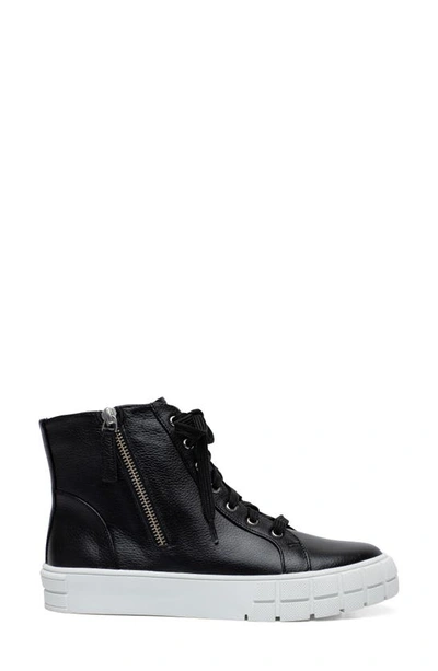 Linea Paolo Gio Sneaker In Black