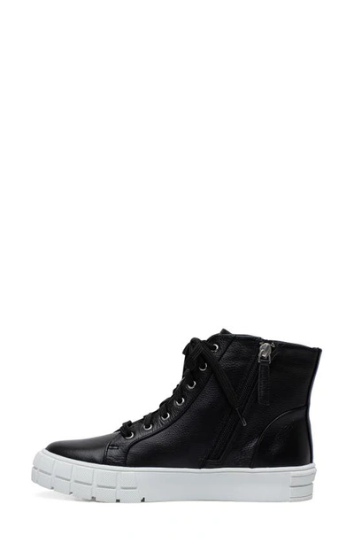 Linea Paolo Gio Sneaker In Black