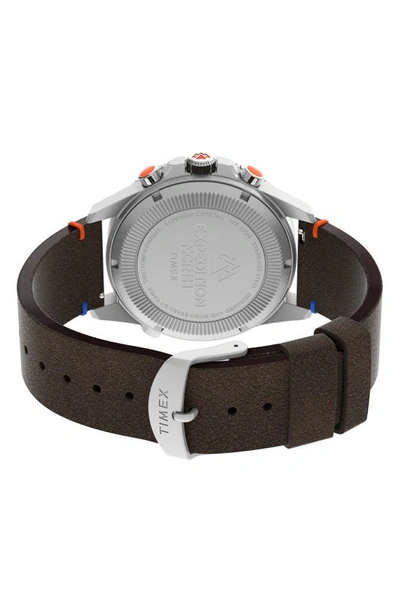 Timex North Tracker Tide Expedition Watch Bousson And Thermometer 43 Mm Ecological Leather Bracelet In Brown