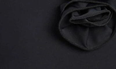 Shop Bardot Erika Rosette Halter Bodysuit In Black