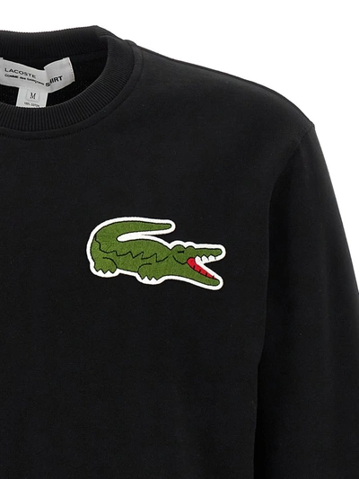 Shop Comme Des Garçons Sweatshirt  Shirt X Lacoste In Black