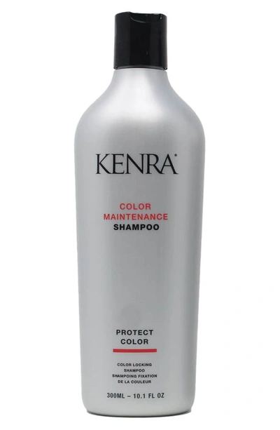 Shop Kenra Color Maintenance Shampoo