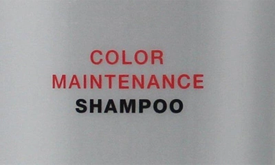 Shop Kenra Color Maintenance Shampoo