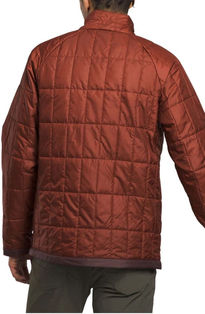Shop The North Face Circaloft Jacket In Brandy Brown/ Coal Brown