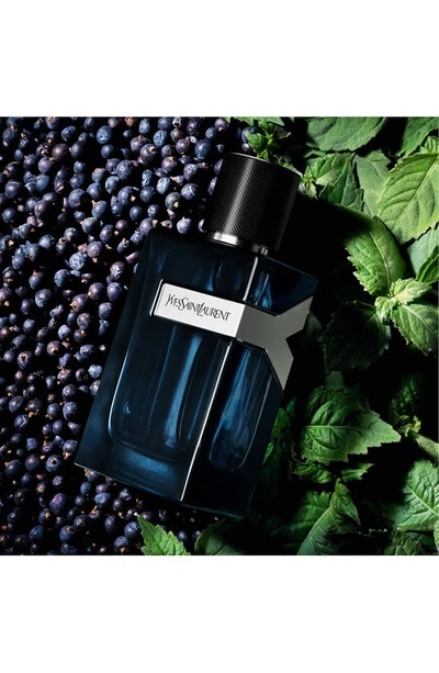 Shop Saint Laurent Y Eau De Parfum Intense 2-piece Gift Set $182 Value
