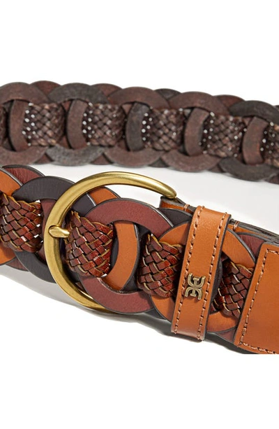 Shop Sam Edelman Link Woven Belt In Multi-brown