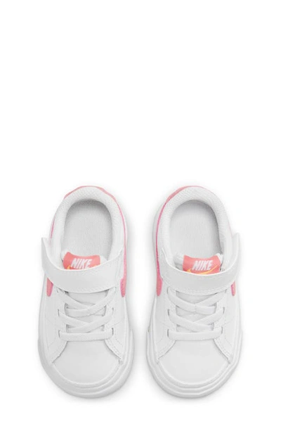 Shop Nike Court Legacy Sneaker In White/ Orange/ Coral Chalk