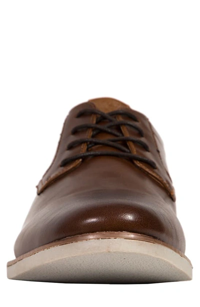 Shop Deer Stags Marco Derby In Brown