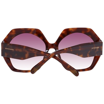 Shop Scotch & Soda Brown Women Women's Sunglasses
