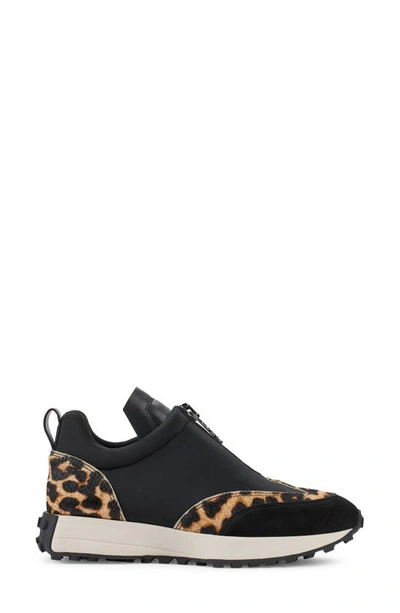 Shop Dkny Noah Sneaker In Blk/ Leopard