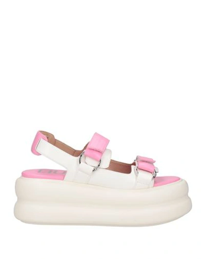 Shop Liu •jo Woman Sandals Pink Size 7 Soft Leather