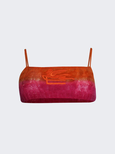 Shop Etro Wool Knit Bra Top In Orange And Pink