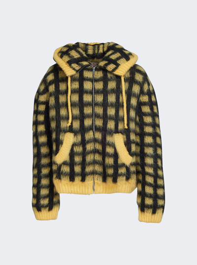 Shop Marni Knit Checked Sweater In Maize