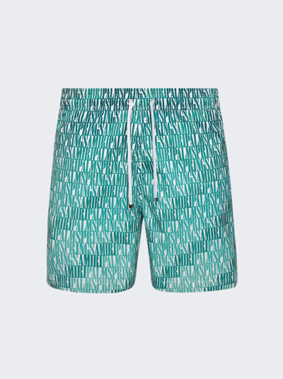 Shop Amiri X The Webster Palm Springs Swim Trunks In Green