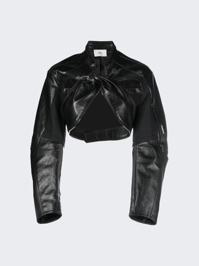 Shop Coperni Cut Out Cropped Biker Jacket In Black