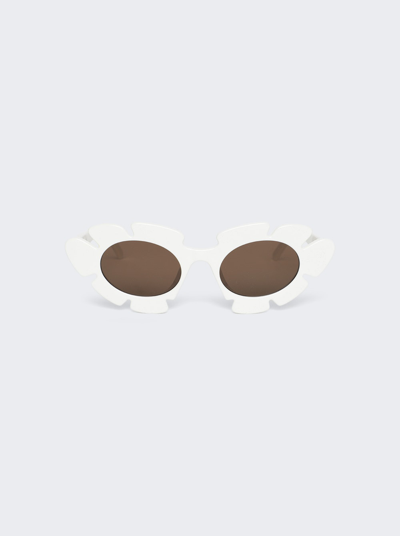 Shop Loewe Paula's Ibiza Flower Cat Eye Sunglasses In White And Brown