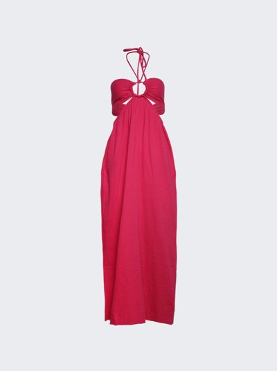 Shop Mara Hoffman Laila Dress In Raspberry