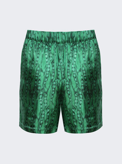 Shop Givenchy Formal Elastic Shorts In Green