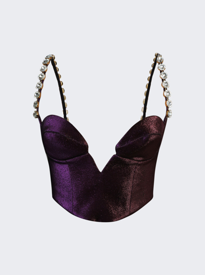 Area Mussel Cup Bustier Top In Purple