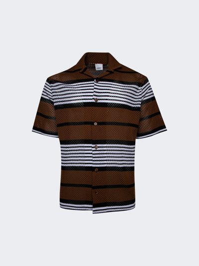 Shop Burberry Knit V Neck Shirt In Dark Birch Brown
