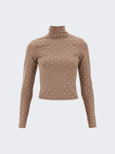 Shop Alexander Wang Crystal Logo Turtleneck In Beige