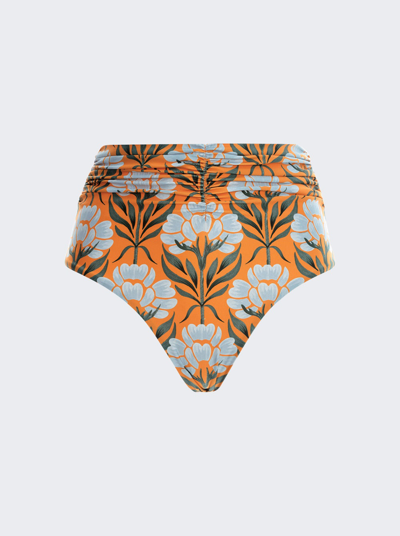 Shop Agua By Agua Bendita Vaiven Bikini Bottom In Orange
