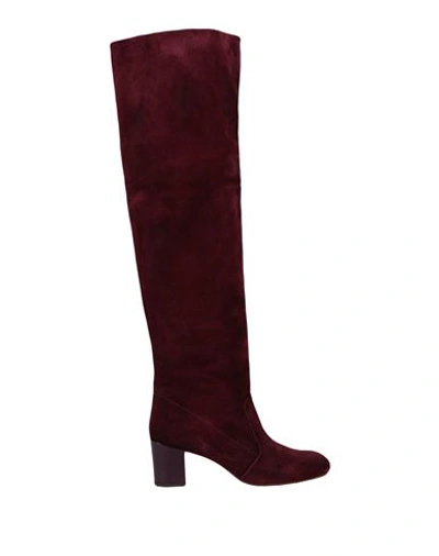 Shop Chie Mihara Woman Boot Garnet Size 8 Soft Leather In Red