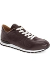 Tod's Men's Smooth Leather Trainer Sneakers, Dark Brown