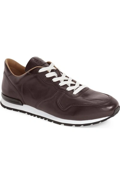 Tod's Men's Smooth Leather Trainer Sneakers, Dark Brown