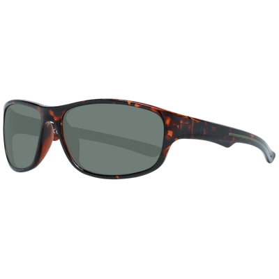 Shop Guess Brown Unisex  Sunglasses