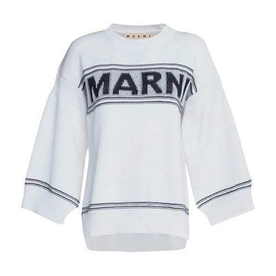 Shop Marni Cotton Sweater With Logo In Lilywhite