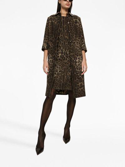 Shop Dolce & Gabbana Leopard Print Wool Chemisier Dress In Animalier1
