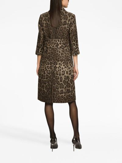 Shop Dolce & Gabbana Leopard Print Wool Chemisier Dress In Animalier1