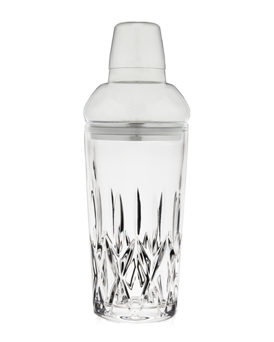 Shop Viski Admiral Glass Shaker