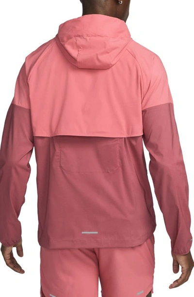 Shop Nike Windrunner Track Jacket In Adobe/ Cedar