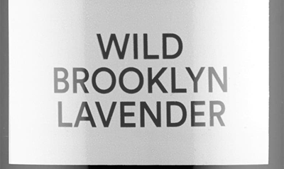 Shop D.s. & Durga Wild Brooklyn Lavender Hand Soap, 13.5 oz