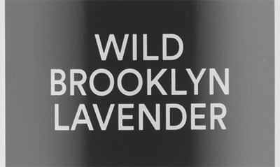 D.s. & Durga Wild Brooklyn Lavender Hand Lotion 13.5 Oz.