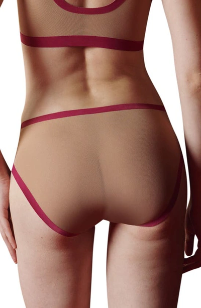 Shop Eby 2-pack Sheer Panties In Taupe/ Cabernet